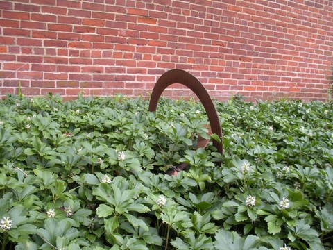 Read this KentSuites blog post to learn a bit about the landscaping we include at all our unique downtown Kent apartments and buildings.